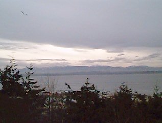 DC20 Image... View From Bluff